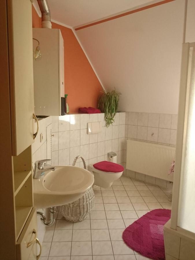 Knoche Apartment